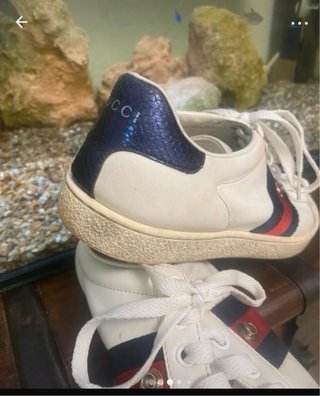 Sneakers Gucci