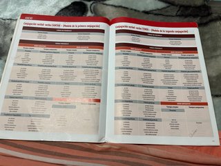 Lengua castellana y Literatura, ámbito lingüíst...