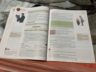 Lengua castellana y Literatura, ámbito lingüíst...