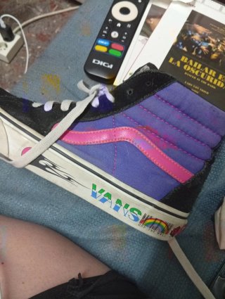 Zapatillas Vans Sk8-Hi Edición Especial, ya descat