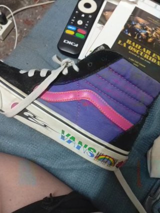 Zapatillas Vans Sk8-Hi Edición Especial, ya descat