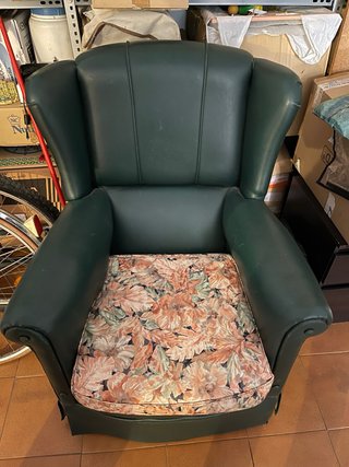 Sillón verde con cojín estampado