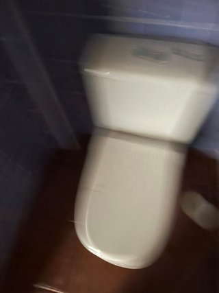 Sanitario blanco de porcelana
