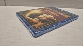 Harry Potter e la Camera dei Segreti Blu-ray