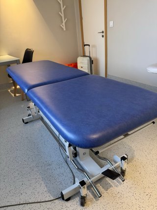 camilla osteopatia Fisioterapia
