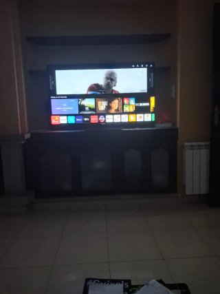 LG OLED 55 TV. Venta por mudanza