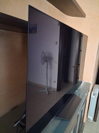 LG OLED 55 TV. Venta por mudanza