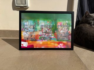 Quadro Carte Pokemon Ralts Kirlia Gardevoir