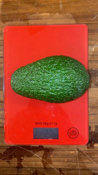Finca de aguacates Hass en plena producción.