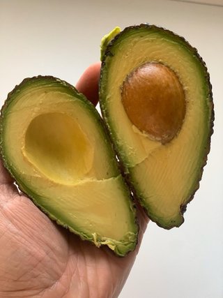 Finca de aguacates Hass en plena producción.