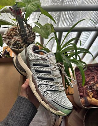 Tenis Adidas Beige y Café