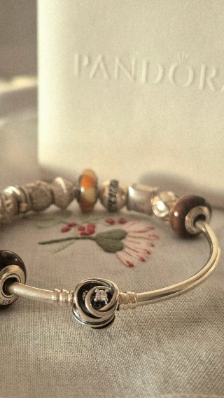 Pulsera Pandora Rígida para Charms de plata