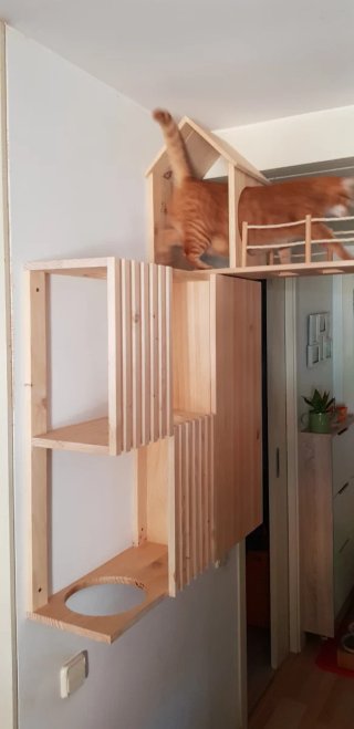 Estantería para gato de madera