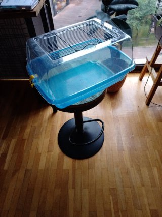 Tortuguera de plástico azul y transparente