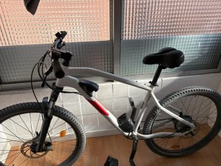 Bicicleta Eléctrica Gris