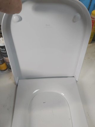 Tapa de inodoro blanca de plástico