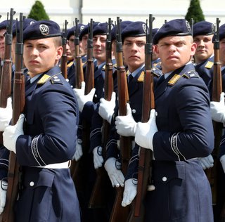 Chaquetas de gala Lufwaffe