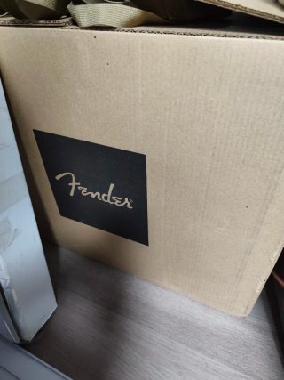 Amplificador Guitarra Fender blues Deluxe rissue