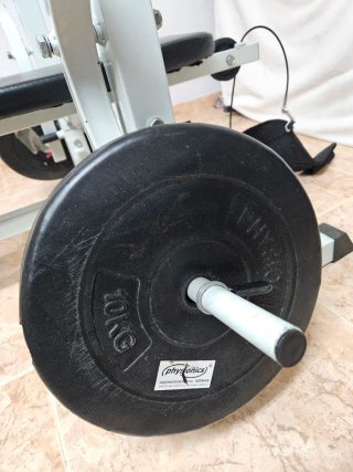 Banco pesas Physionics reclinable + 2x10kg pesas