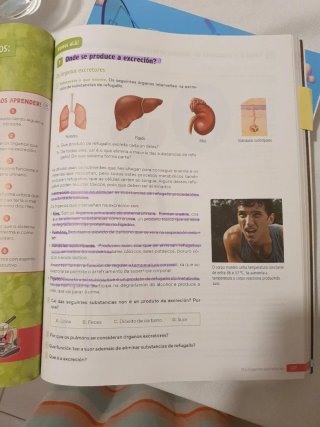 Bioloxía e Xeoloxía. 3 Secundaria. Revoa