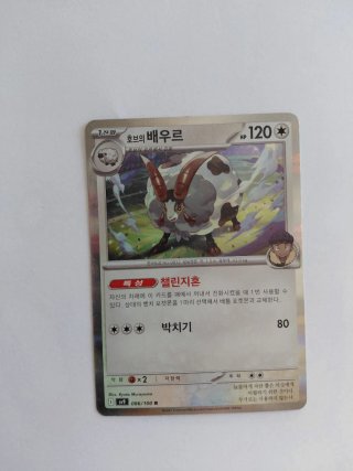 Carta Pokémon Japonesa Hob 120 HP