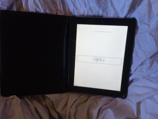 Apple iPad Plata