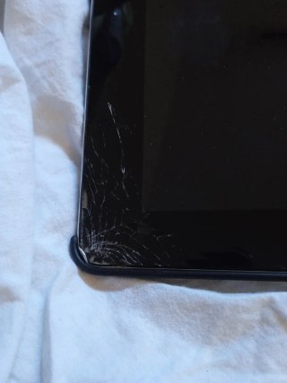Apple iPad Plata