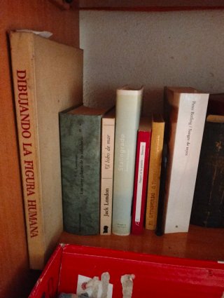 Lote de unos 15 libros