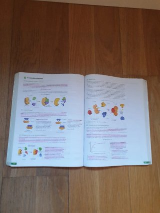 Biología, 2 bachillerato, Revuela Guía del prof...