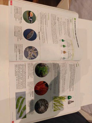 Biología y Geología : 1o ESO : Revuela