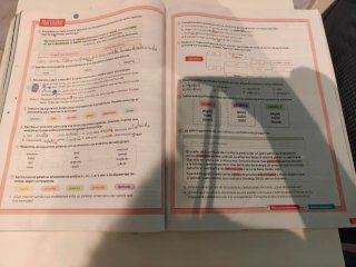 Lengua castellana y literatura