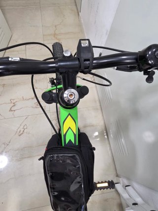 Bicicleta Infantil Verde