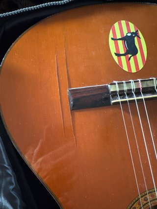 Guitarra Alhambra con funda