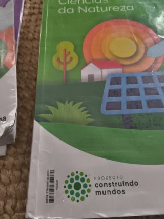 Quinto de Primaria