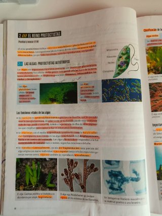 Biología Y Geología 1 Secundaria
