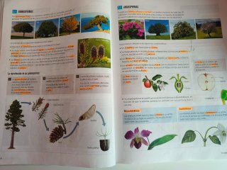 Biología Y Geología 1 Secundaria