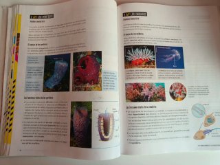 Biología Y Geología 1 Secundaria