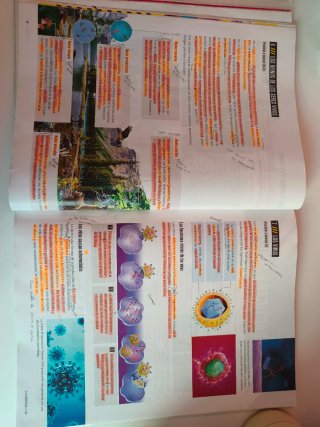 Biología Y Geología 1 Secundaria