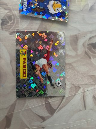 Colección de cromos Panini
