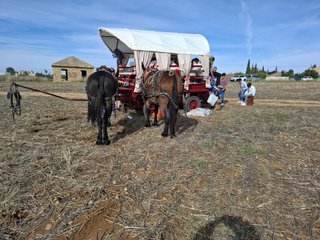 Carro para caballos o mulos