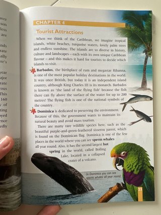 All About the Caribbean