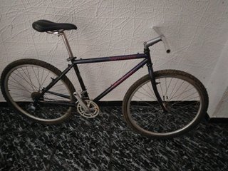 Bicicleta montaña Specialized Stumpjumper (Única)