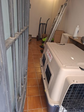 Transportín Perro Mediano/Grande Beige y Negro