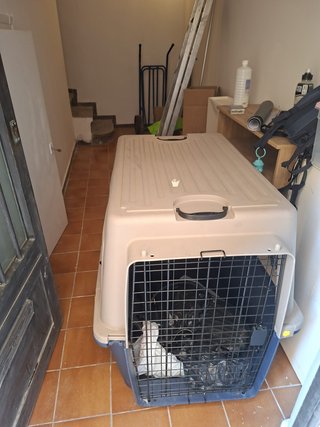 Transportín Perro Mediano/Grande Beige y Negro