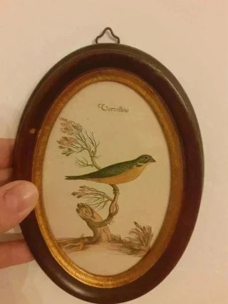 Quadretto vintage uccellino Cerzellido