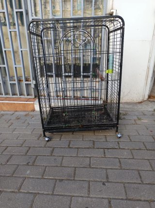 Jaula para loro grande