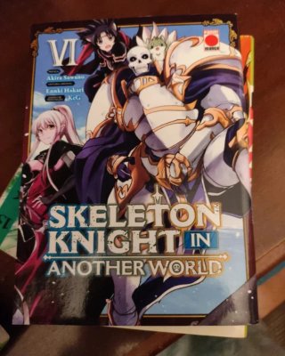 Skeleton knight tomo 6 (fallo de imprenta)
