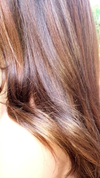 Peluca Lacefront Marrón y Dorado Realista