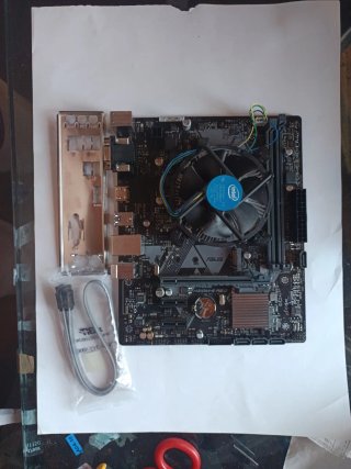 Placa Base Asus H310M-E R2.0 + Intel Gold G5400