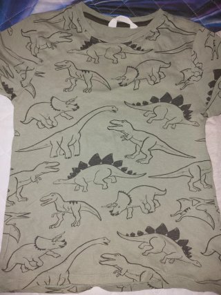 Camicie H&M Dinosauri e Animali 134-140